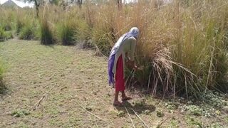 Outdoor desi sex footage pervert laborer farm